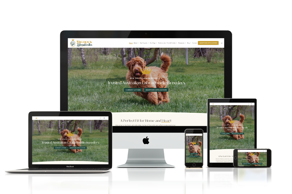 Big Rock Labradoodles home page mockup in multiple devices