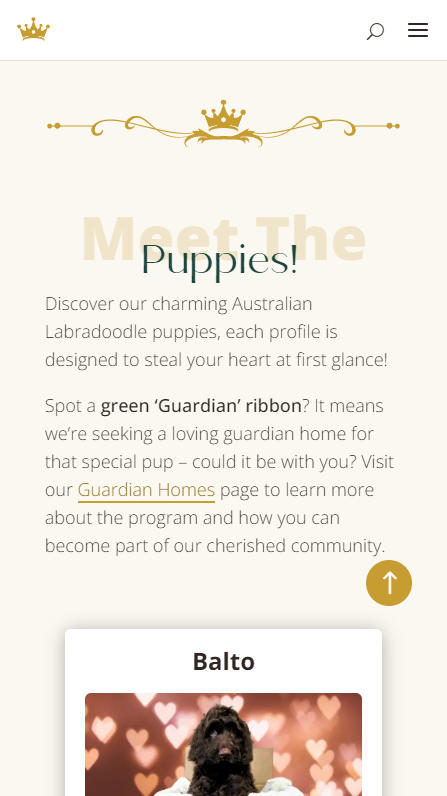 Big Rock Labradoodles mobile screenshot of the Meet the Puppies sections