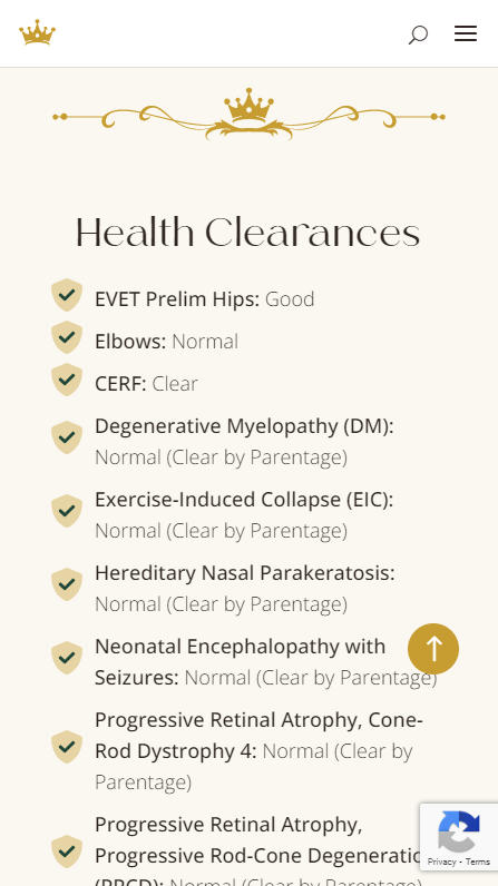 Big Rock Labradoodles mobile screenshot of the Health Clearances section