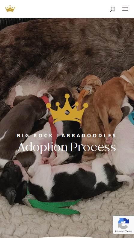 Big Rock Labradoodles mobile screenshot of the Adoption Process header