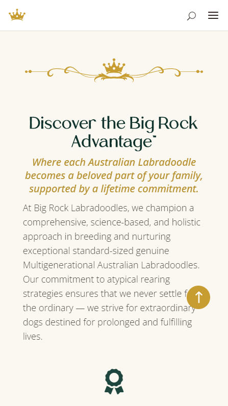 Big Rock Labradoodles mobile screenshot of the Big Rock Advantage section