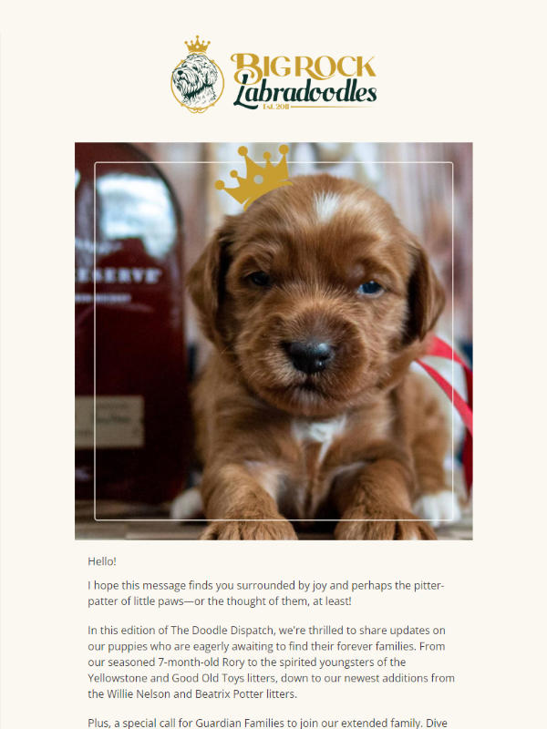 Big Rock Labradoodles - newsletter screenshot - greetings