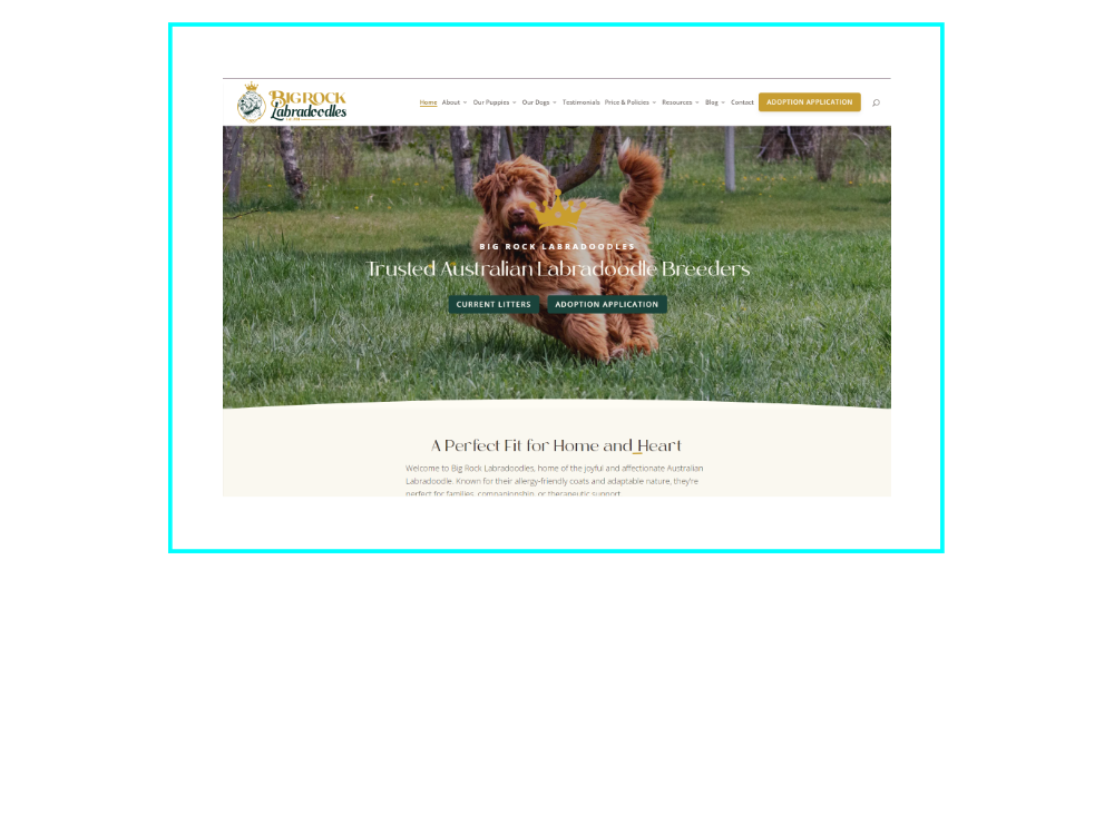 Screenshot of Big Rock Labradoodles" home page